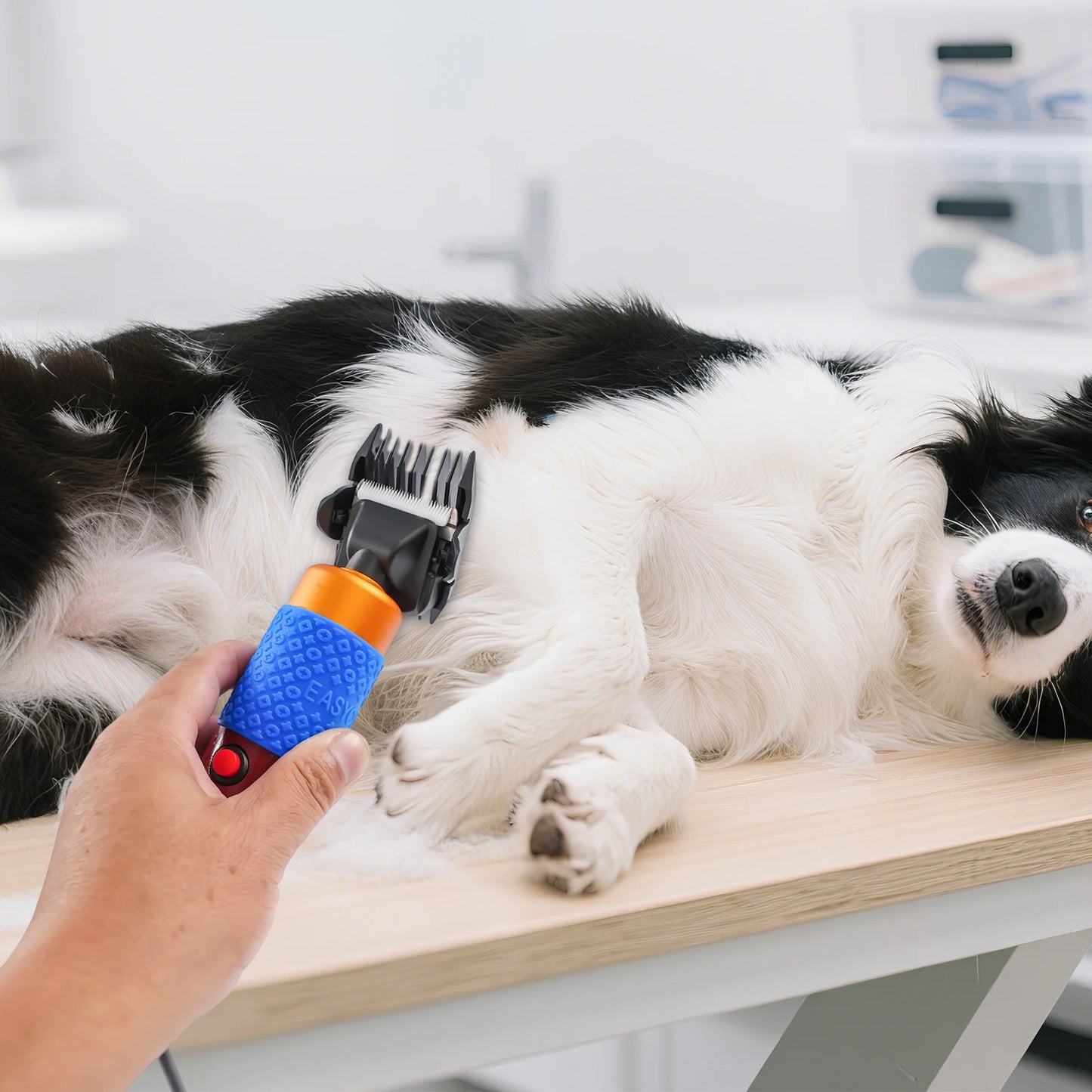 36W Electric Sheep Goat Clipper For Farm And Pet Grooming