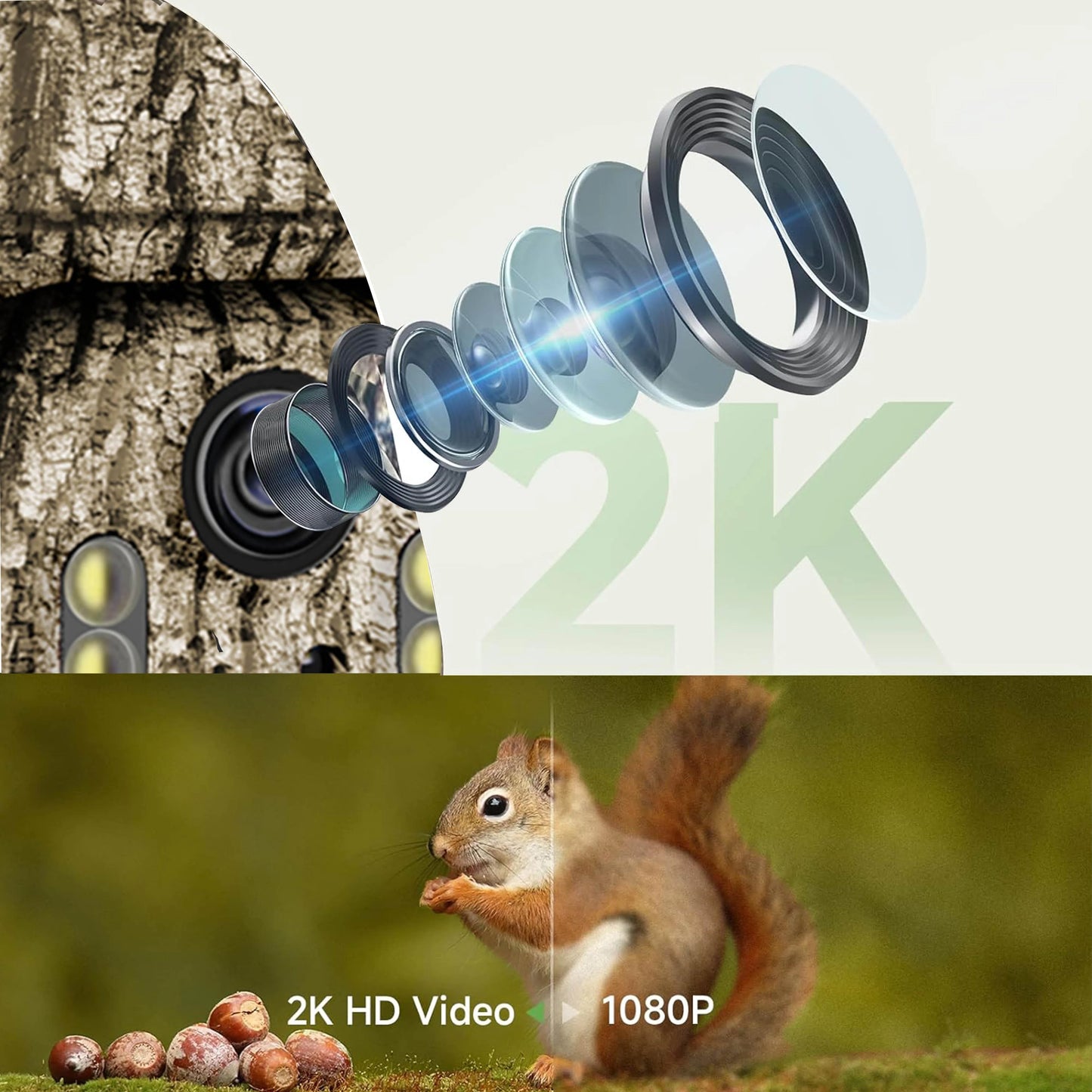 RBX S87 4G LTE Cellular Trail Camera 360 Degree View